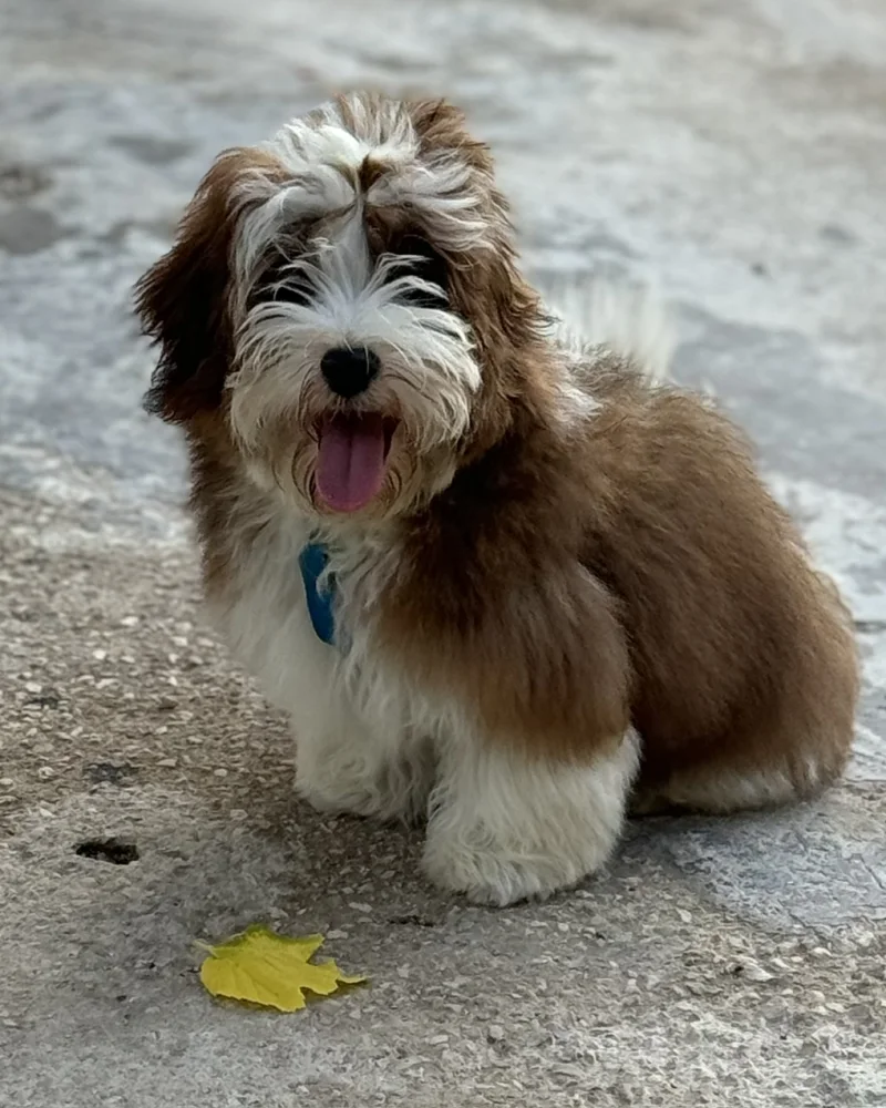Fotografía de Curro